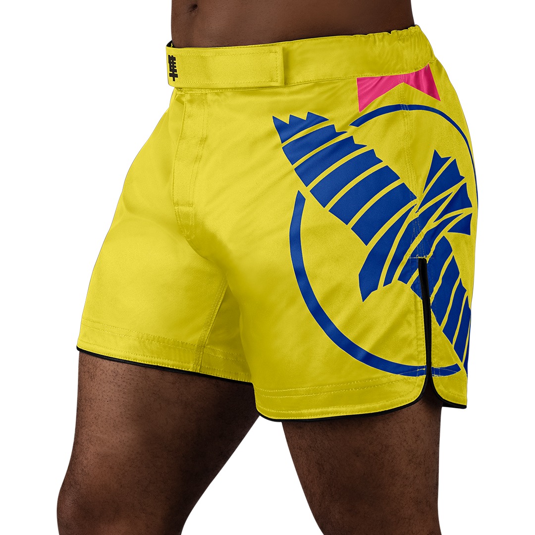 Hayabusa Fight Facebook ad
