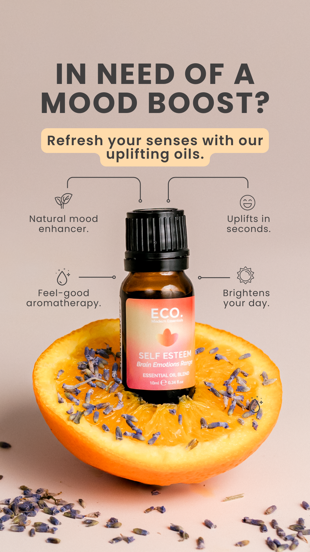 ECO. Modern Essentials Facebook ad