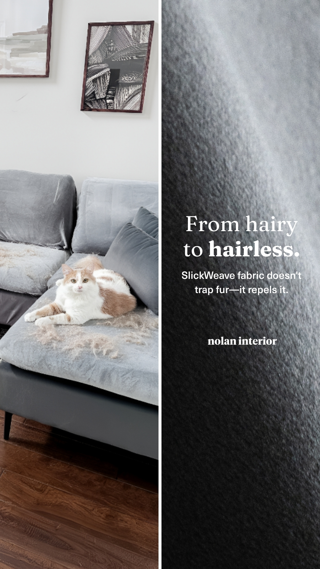 Nolan Interior Facebook ad