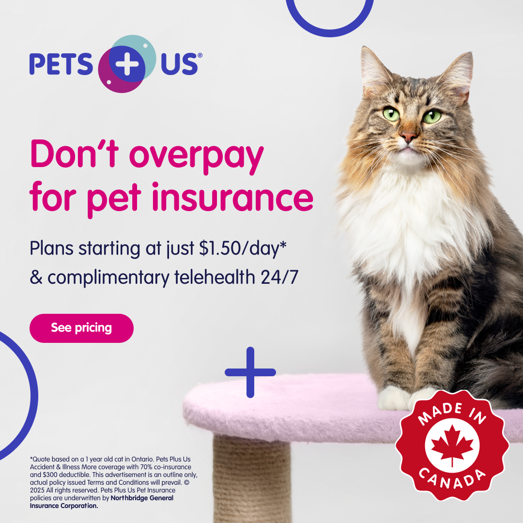 Pets Plus Us Facebook ad