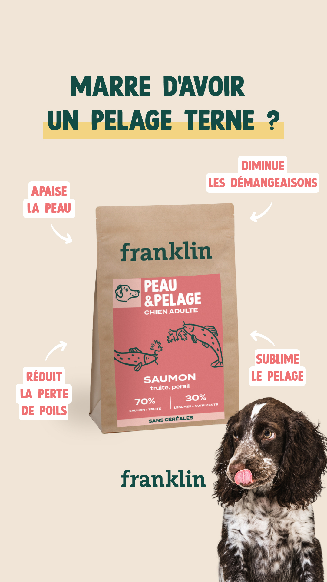 Franklin Pet Food Facebook ad