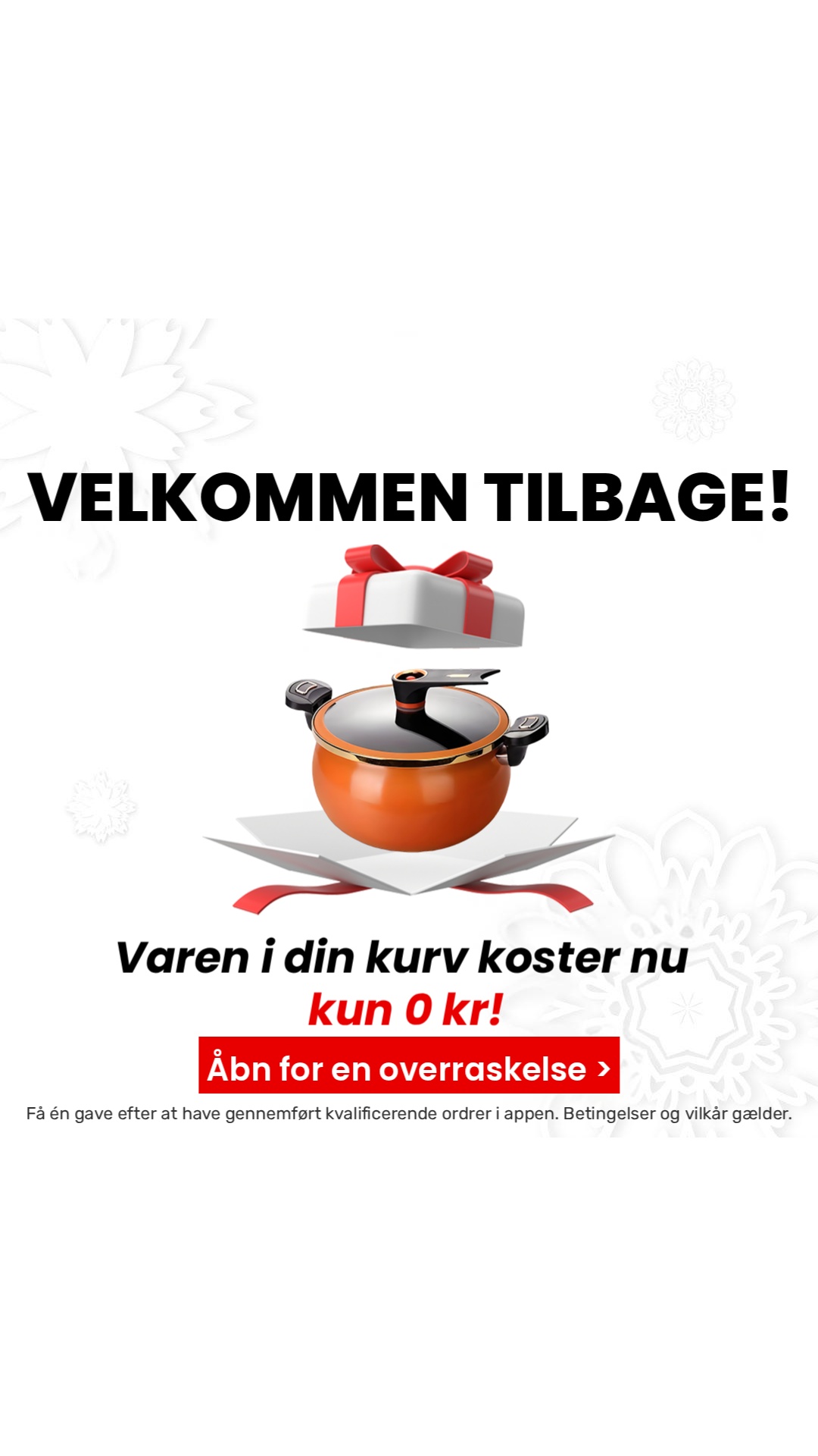 Temu Denmark Facebook ad