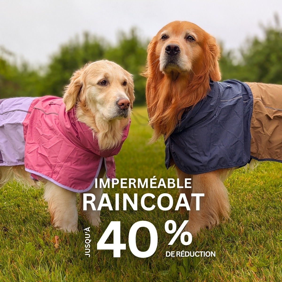 Spark Paws Facebook ad