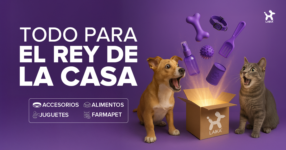 Laika Mascotas Facebook ad from Feb 4, 2026