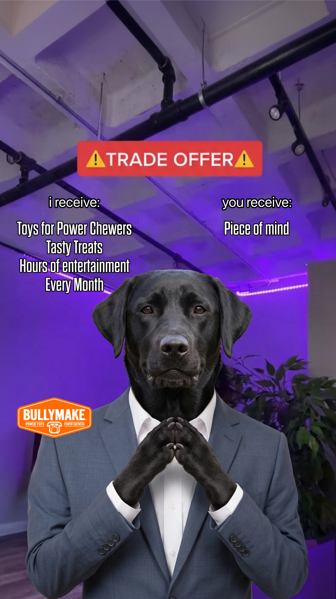 BULLYMAKE Facebook ad