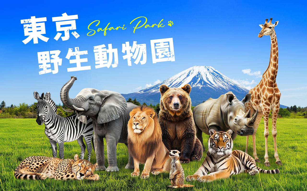 山富旅遊 Facebook ad: 暑假全齡攻略:日本全境玩透透!精彩的輕旅行首選~