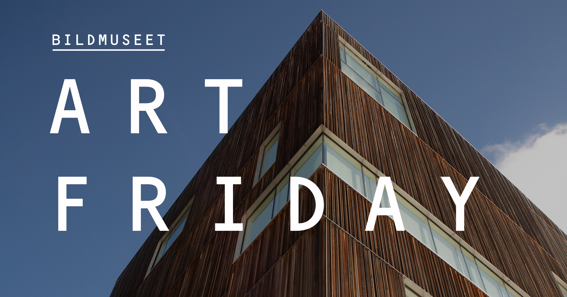 Bildmuseet Facebook ad: Art Friday med Littfest
