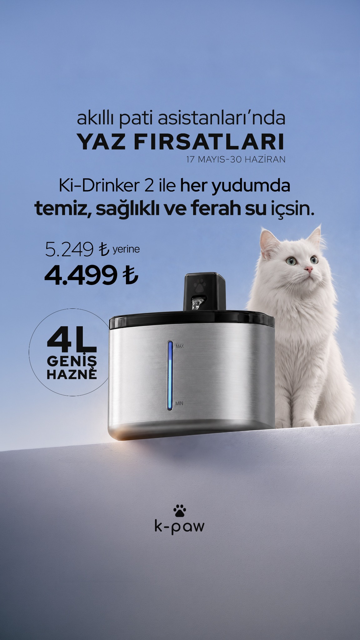 K-paw Facebook ad
