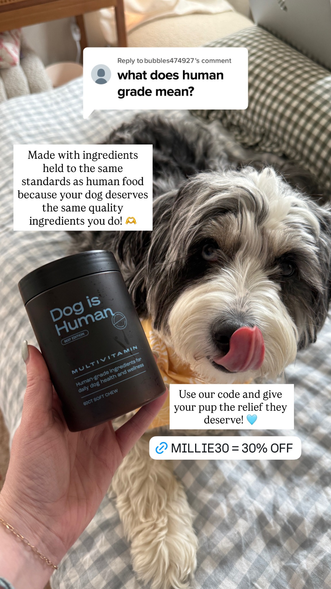 Dog is Human Facebook ad