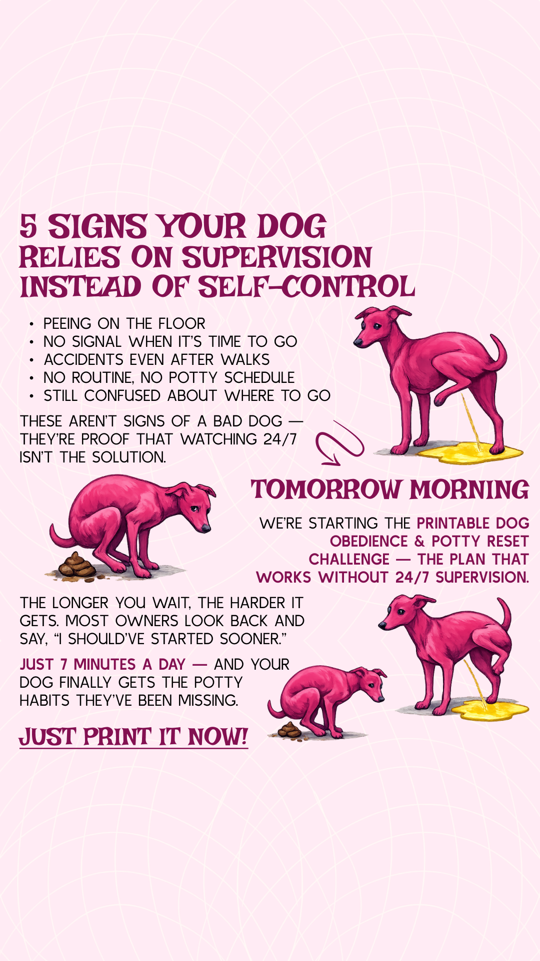 PawChamp Facebook ad