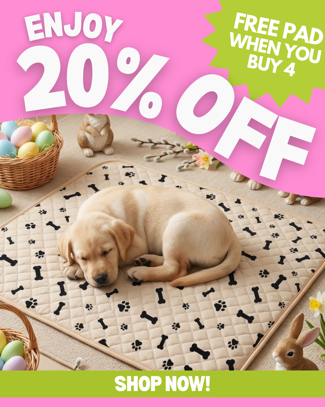 Potty Buddy Facebook ad