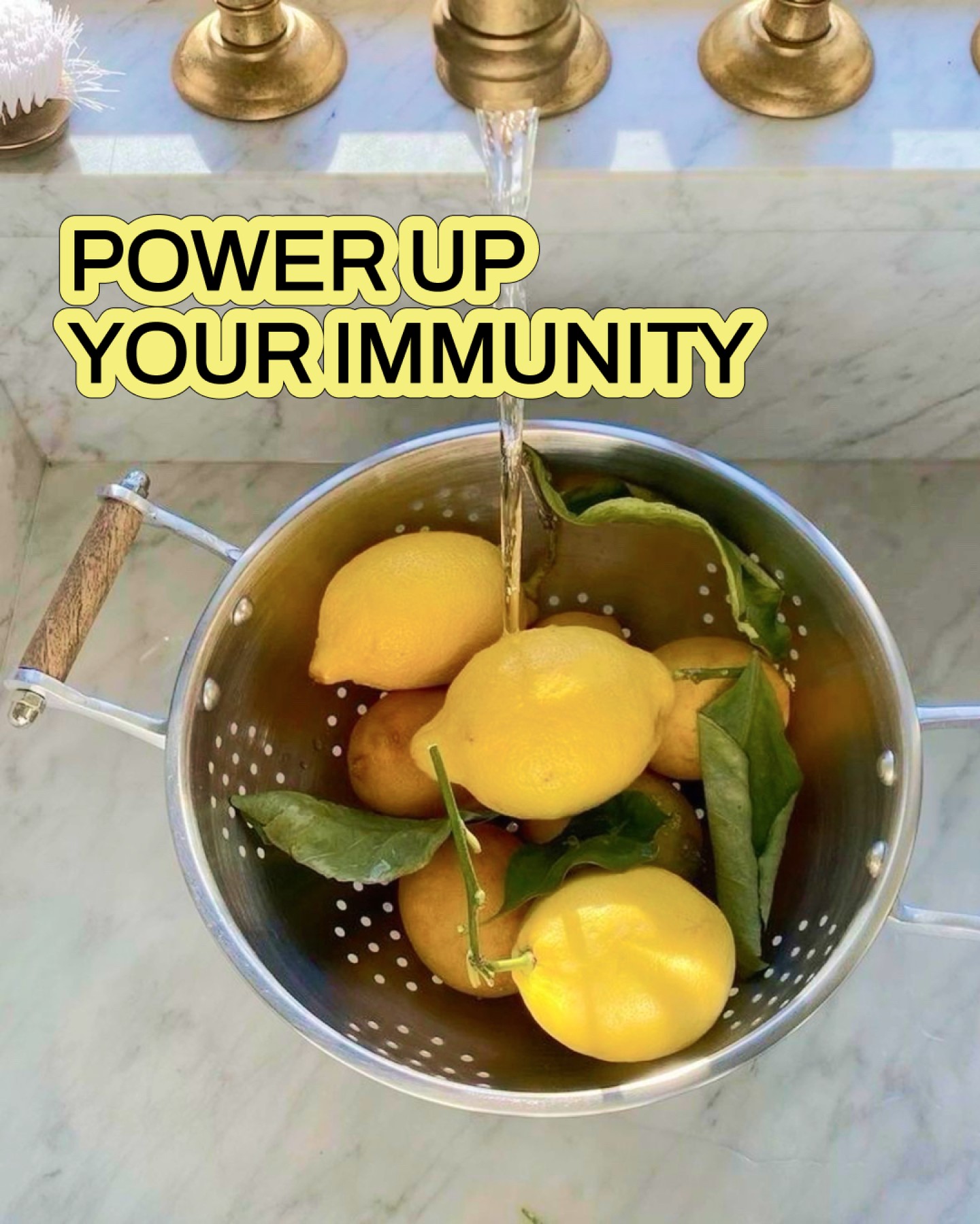 Primal Harvest Facebook ad