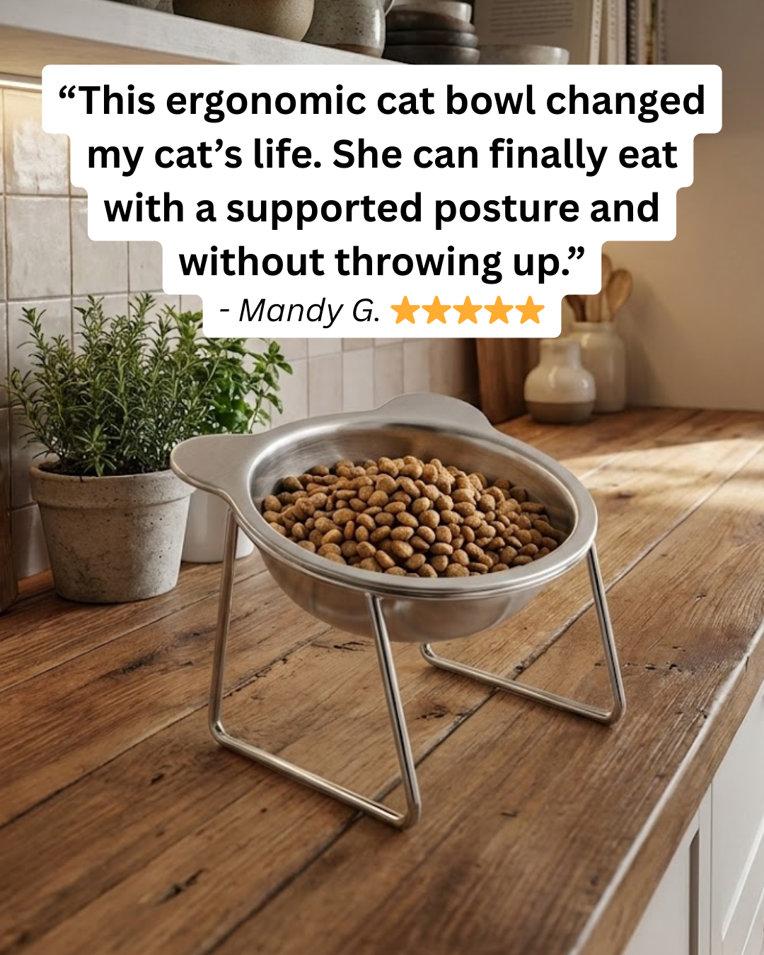 The Friendly Feline Facebook ad: Read this if you still use a standard cat bowl