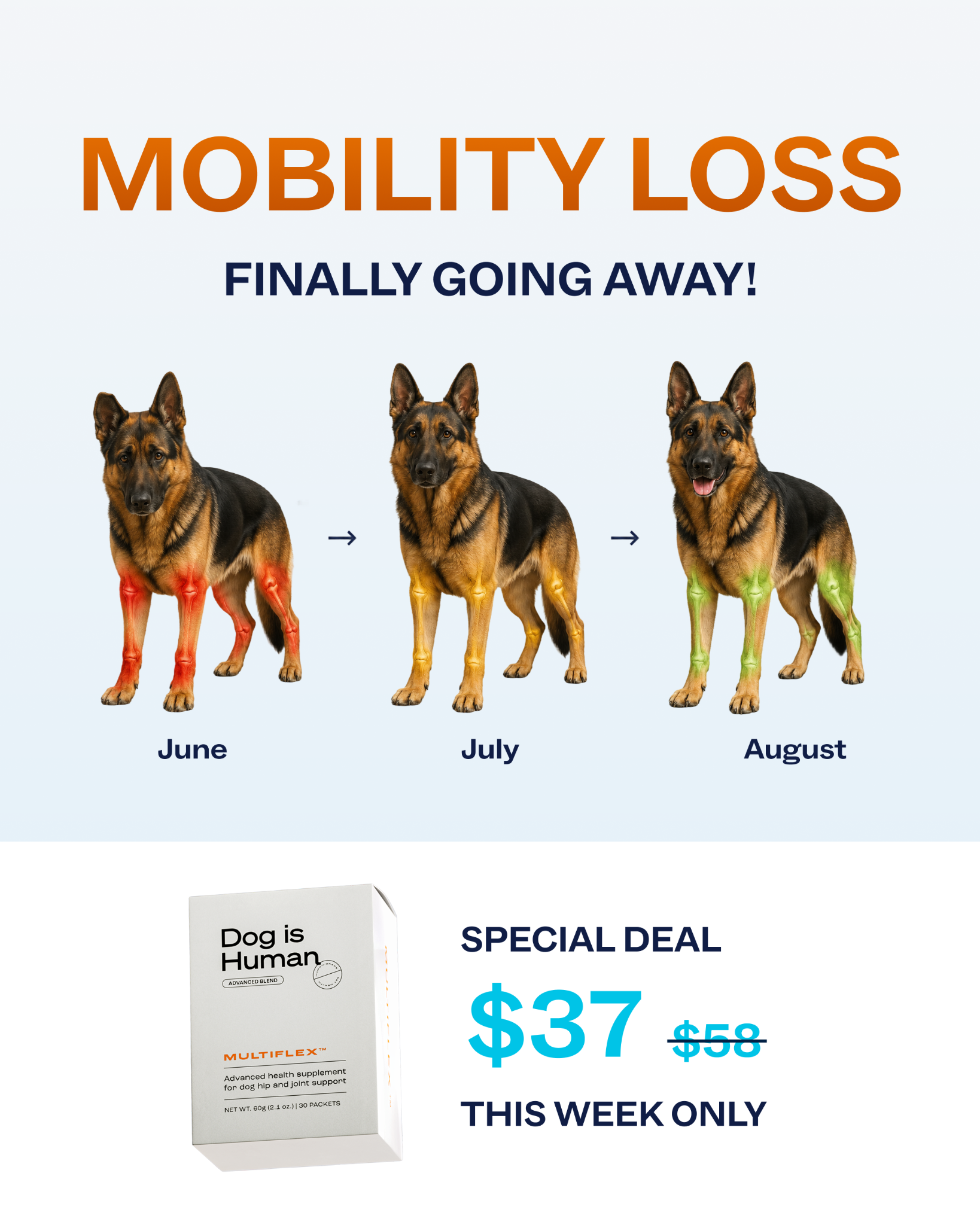 Dog is Human Facebook ad