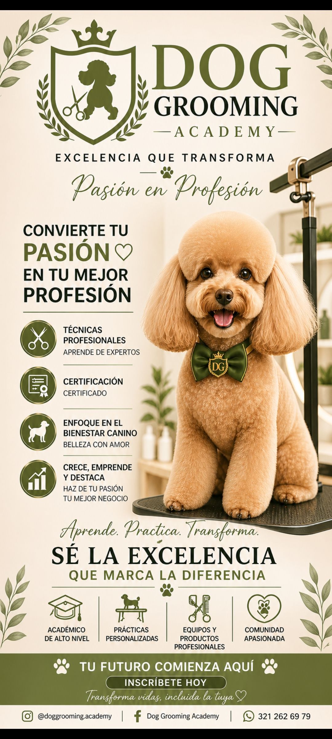 Academia de peluquería canina y felina Dog grooming Facebook ad: Fórmate como estilista profesional de mascotas.