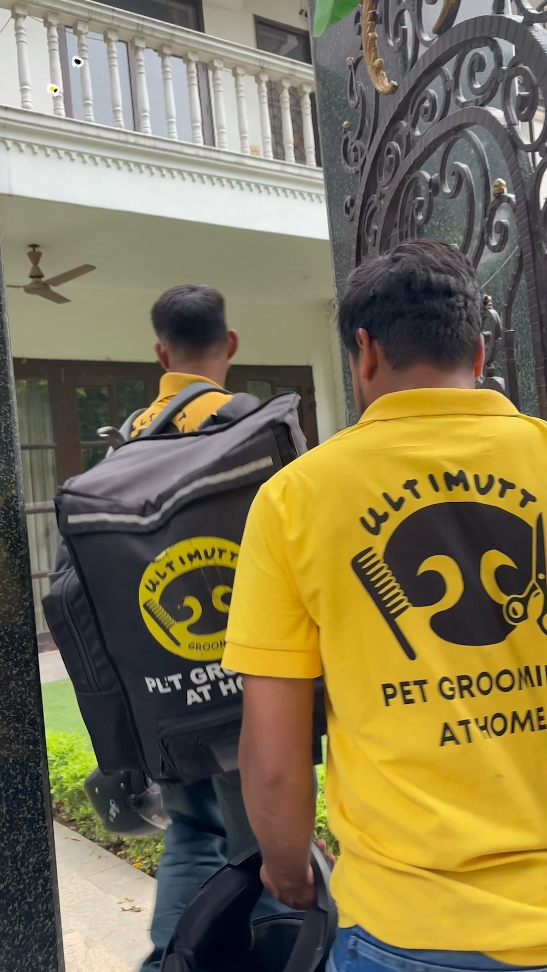 Ultimutt Pet services Facebook ad: Professional Dog Grooming at Home, starts at just…
