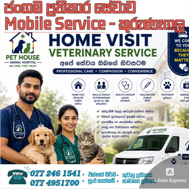 Pet House Animal Hospital ගැට්ටුවාන - Kurunegala / Colombo Facebook ad: ජංගම ප්රතිකාර සේවාව (කුරුණෑගල )