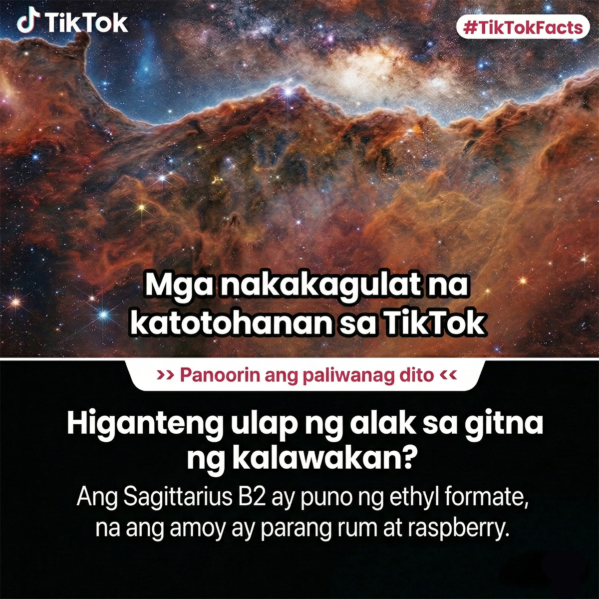 TikTok- Global Facebook ad