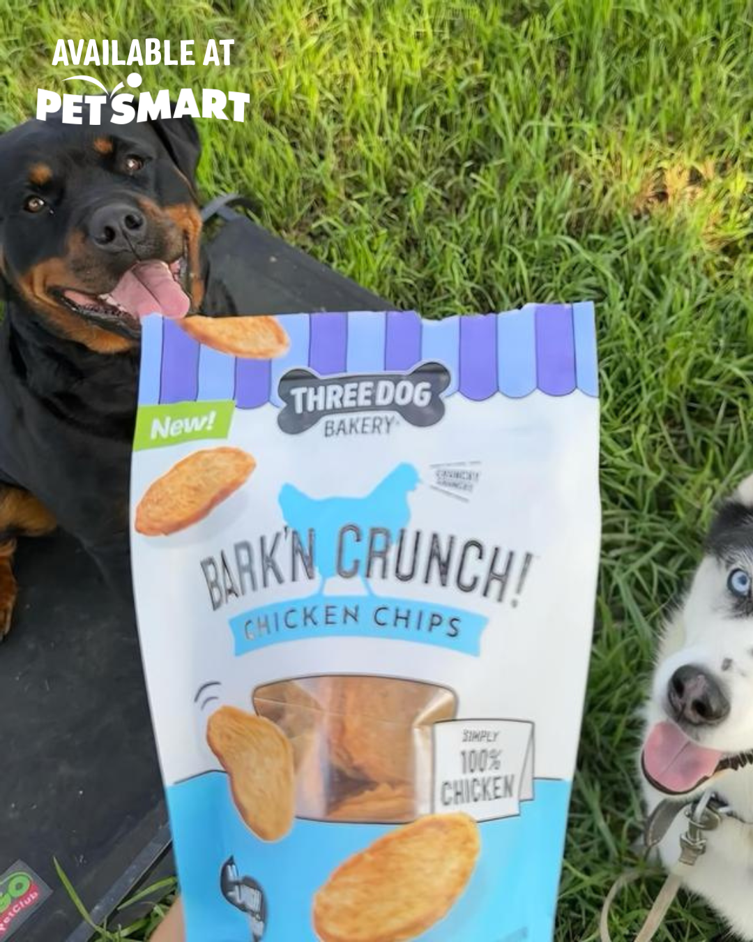 Three Dog Bakery Facebook ad