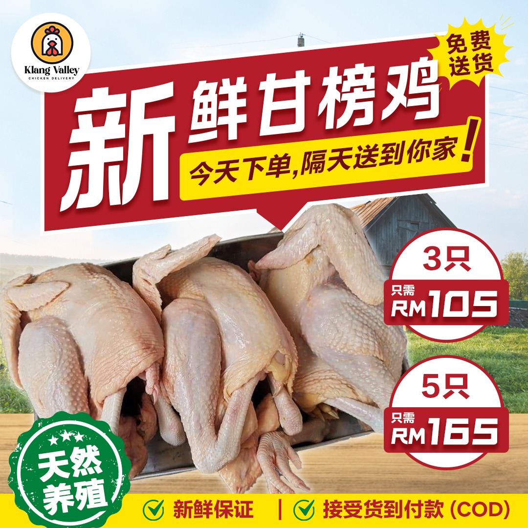 Klang Valley Chicken Delivery Facebook ad: 每日新鲜处理的【 】直接送到你家门口!