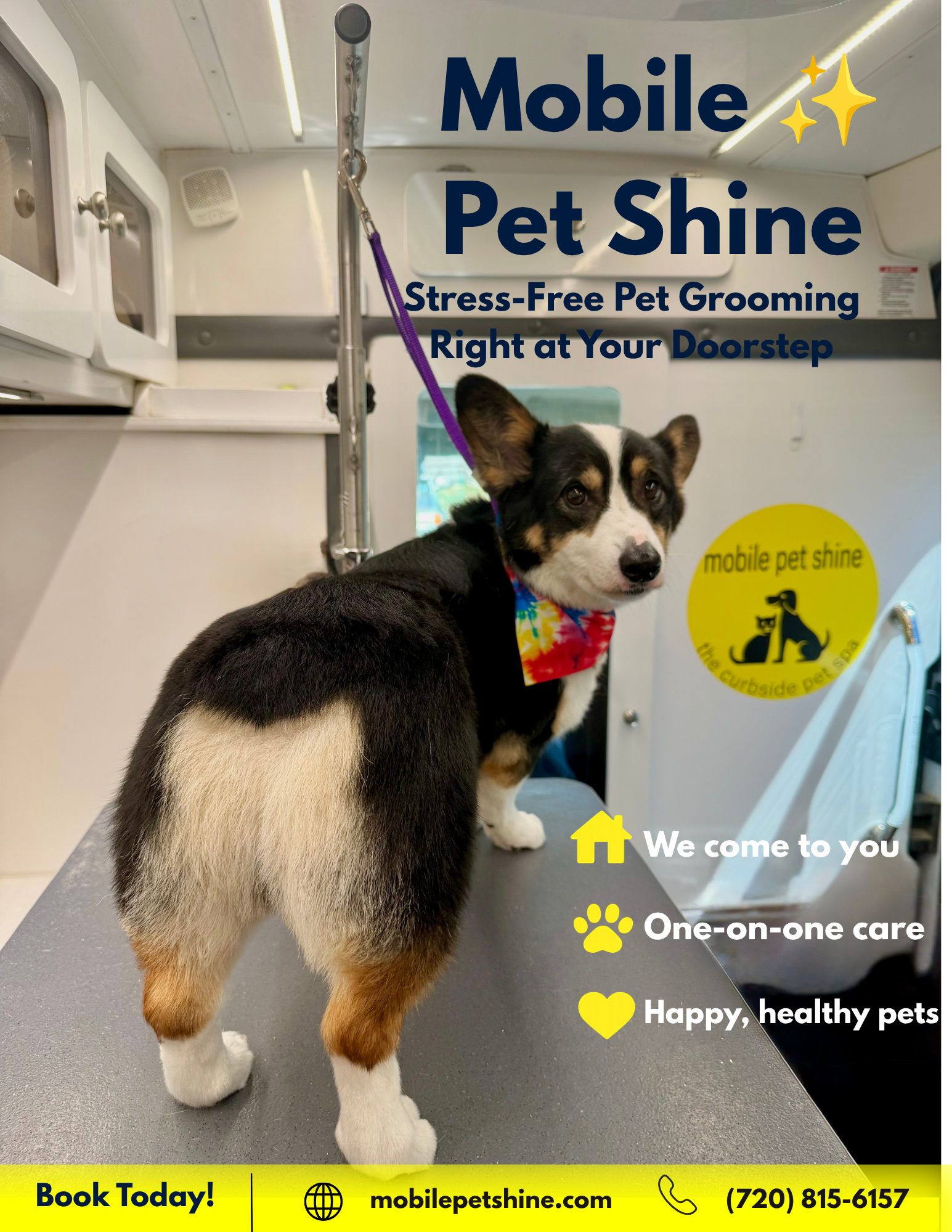 Mobile Pet Shine Facebook ad
