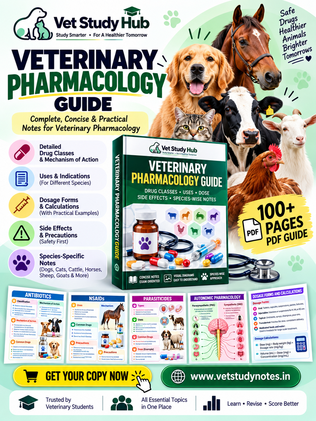 veterinary medicine knowledge Facebook ad: Build Your Veterinary Knowledge in One Place