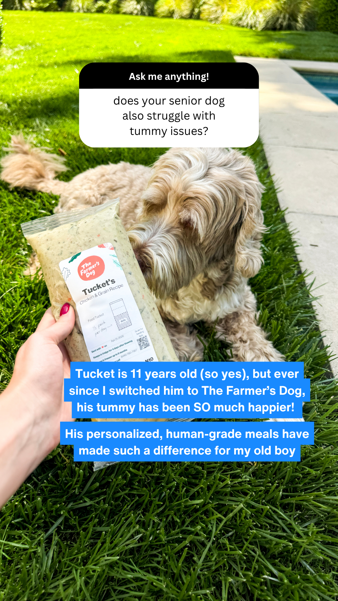 Rounds Of A Paws Facebook ad