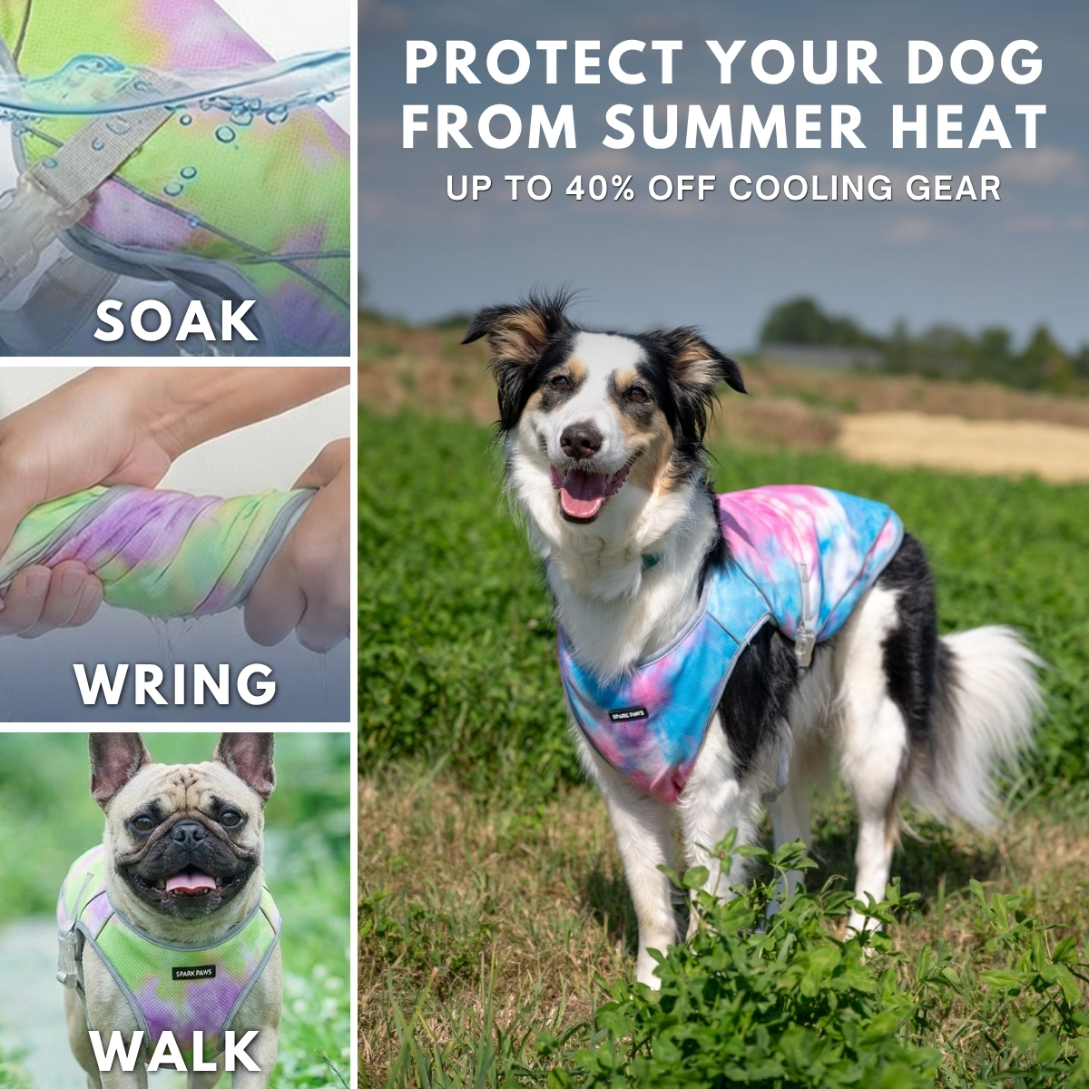 Spark Paws Facebook ad