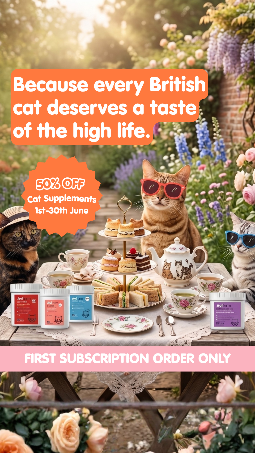 Aviform Nutrition UK - Horse & Dog Facebook ad