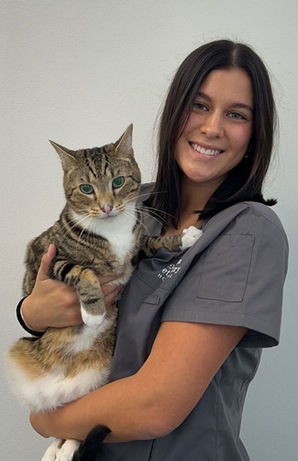 Paws & Care Vet Facebook ad