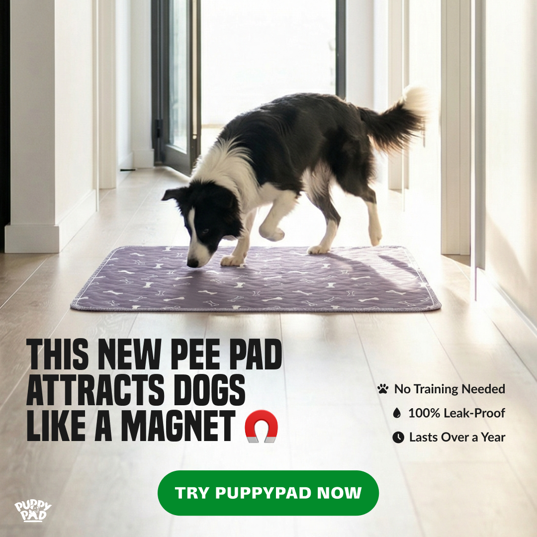 PuppyPad Facebook ad