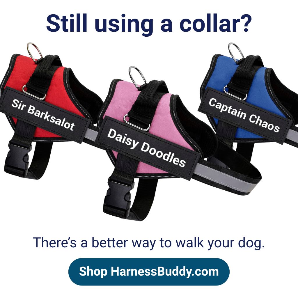 HarnessBuddy Facebook ad