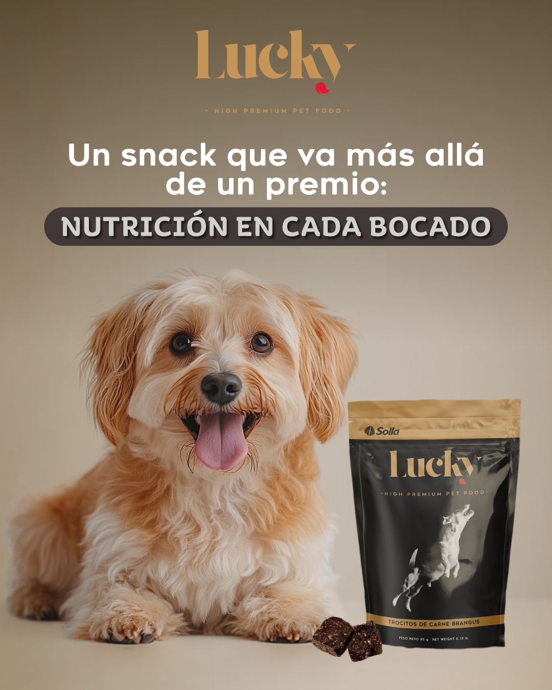 Lucky Facebook ad: Advertencia: tu perro podría enamorarse perdidamente de los…