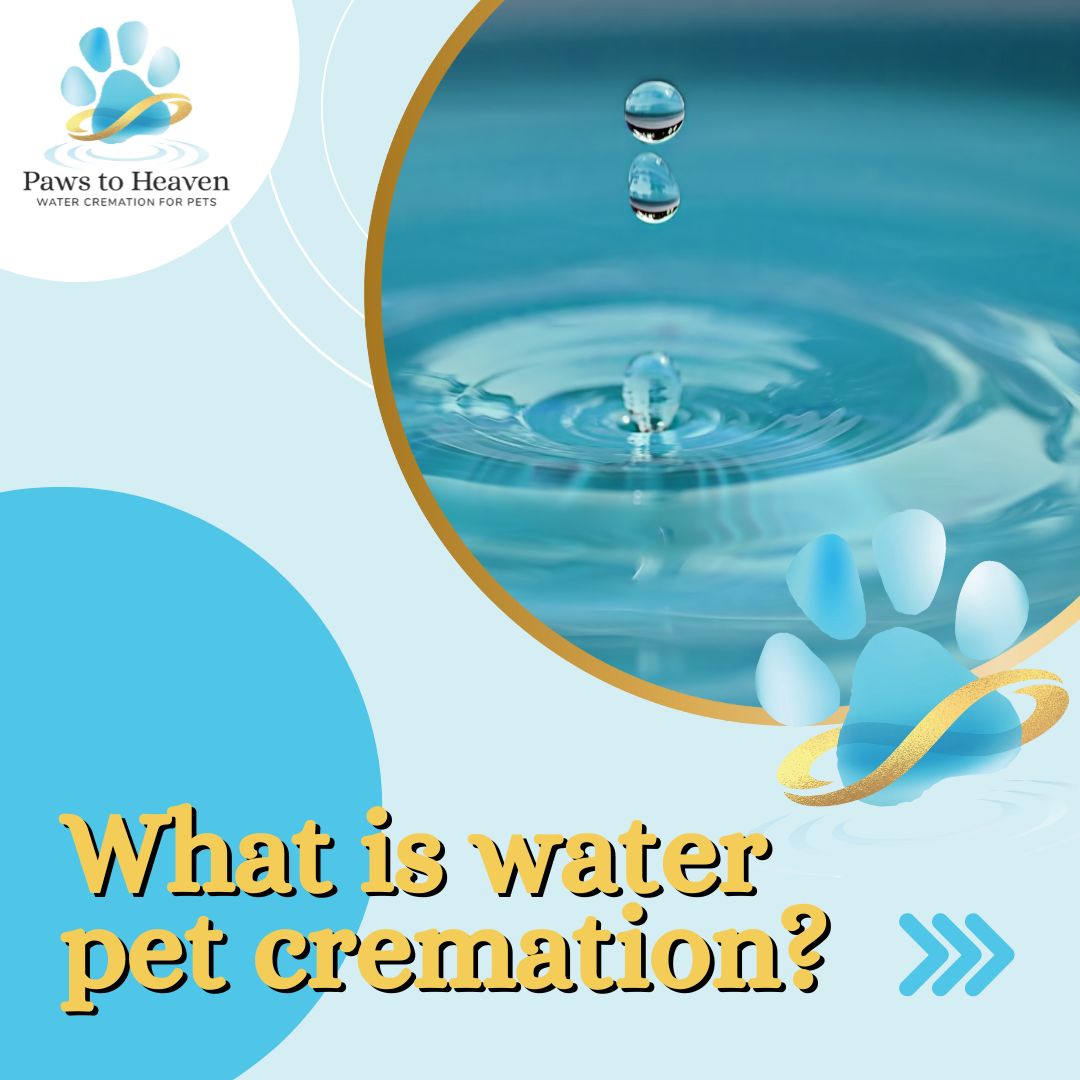 Paws to Heaven Water Pet Cremation Facebook ad: What is Water Pet Cremation