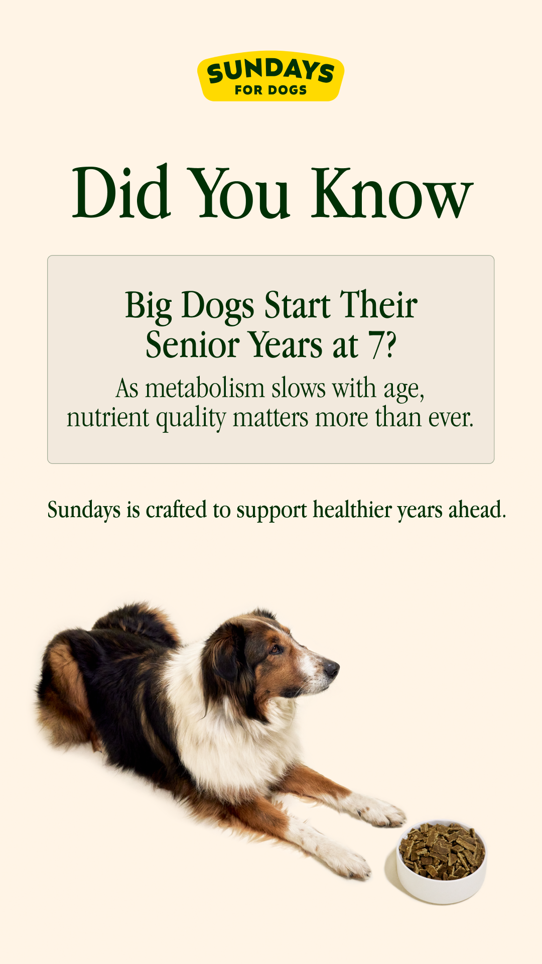 Sundays Facebook ad
