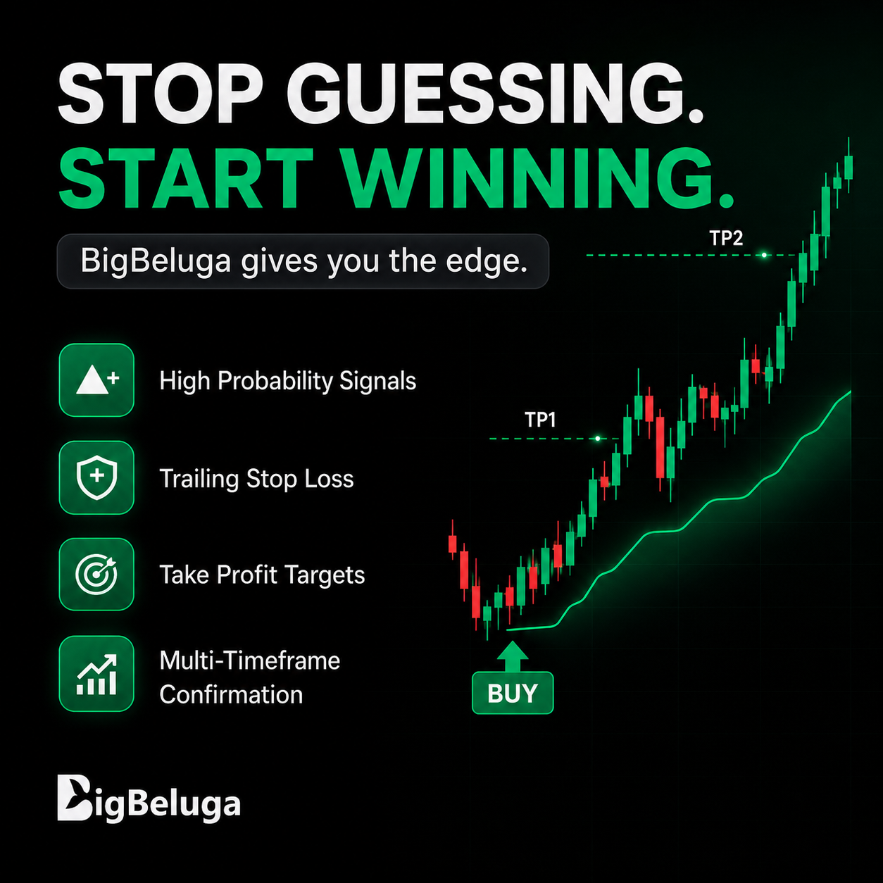 Bigbeluga Facebook ad