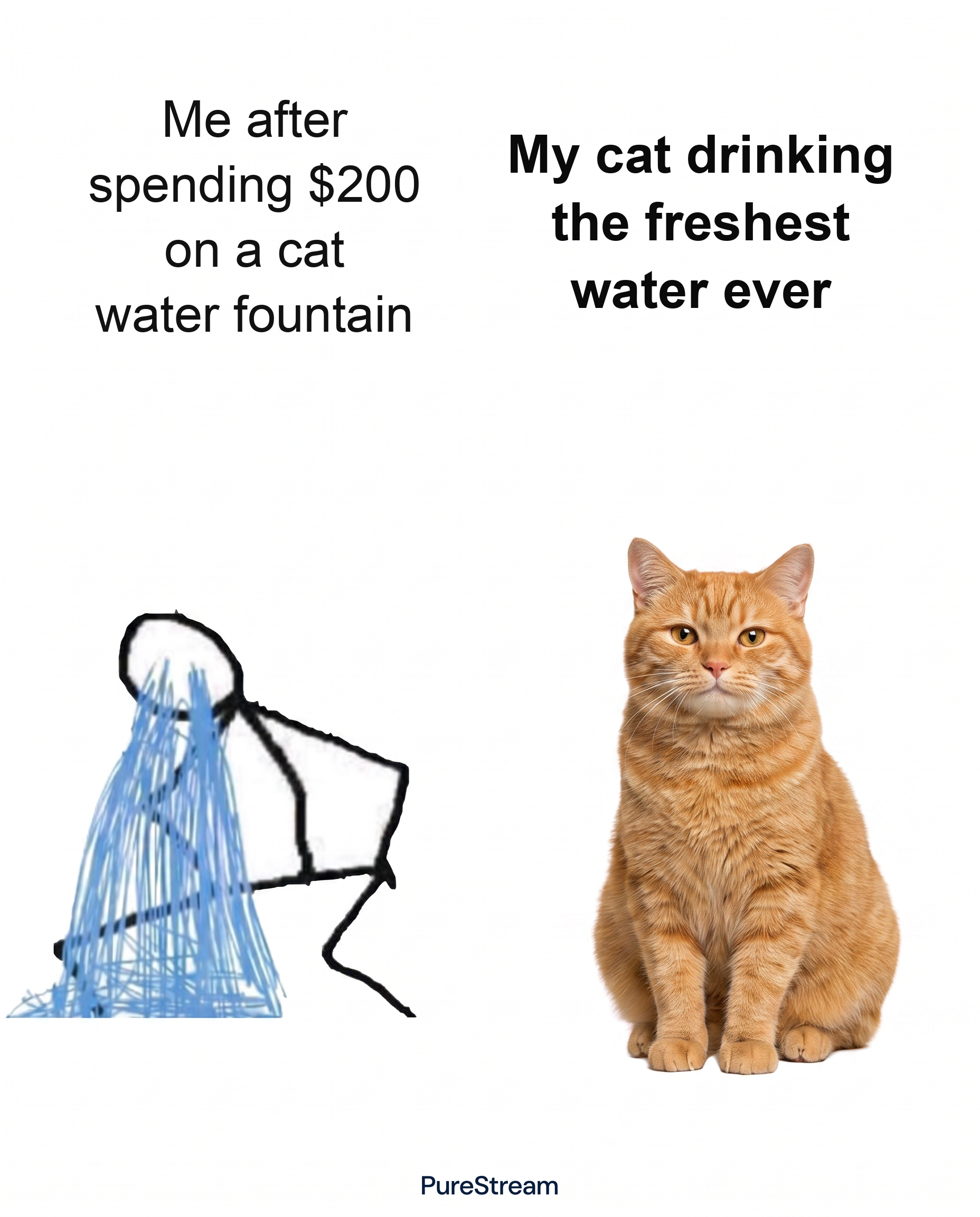 PureStream Facebook ad: The Last Fountain You'll Buy