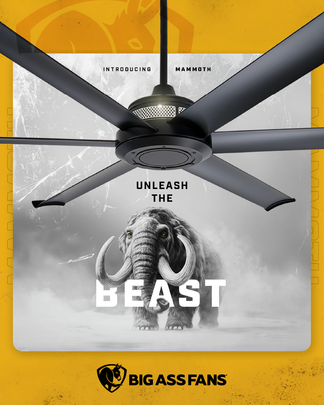 Big Ass Fans Facebook ad from Jun 21, 2026