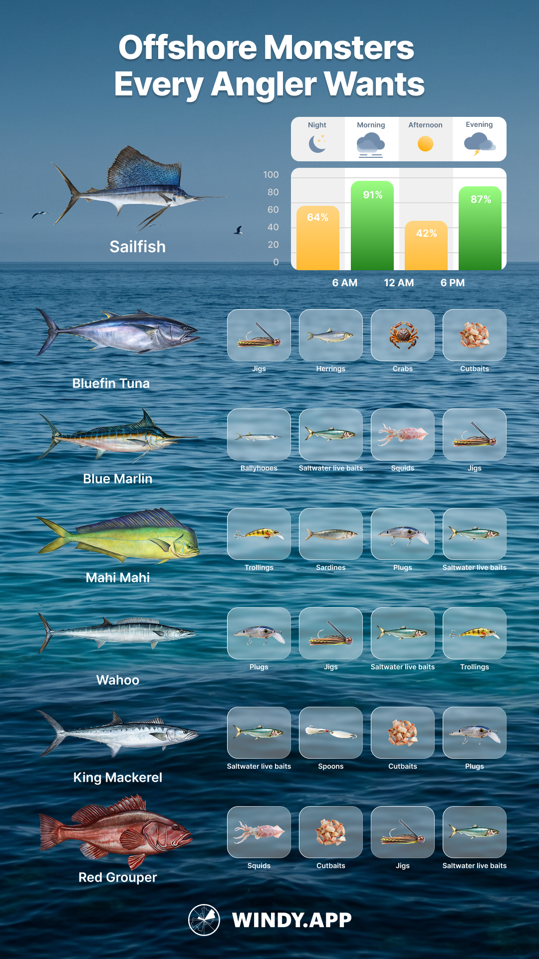 Windy.app Facebook ad