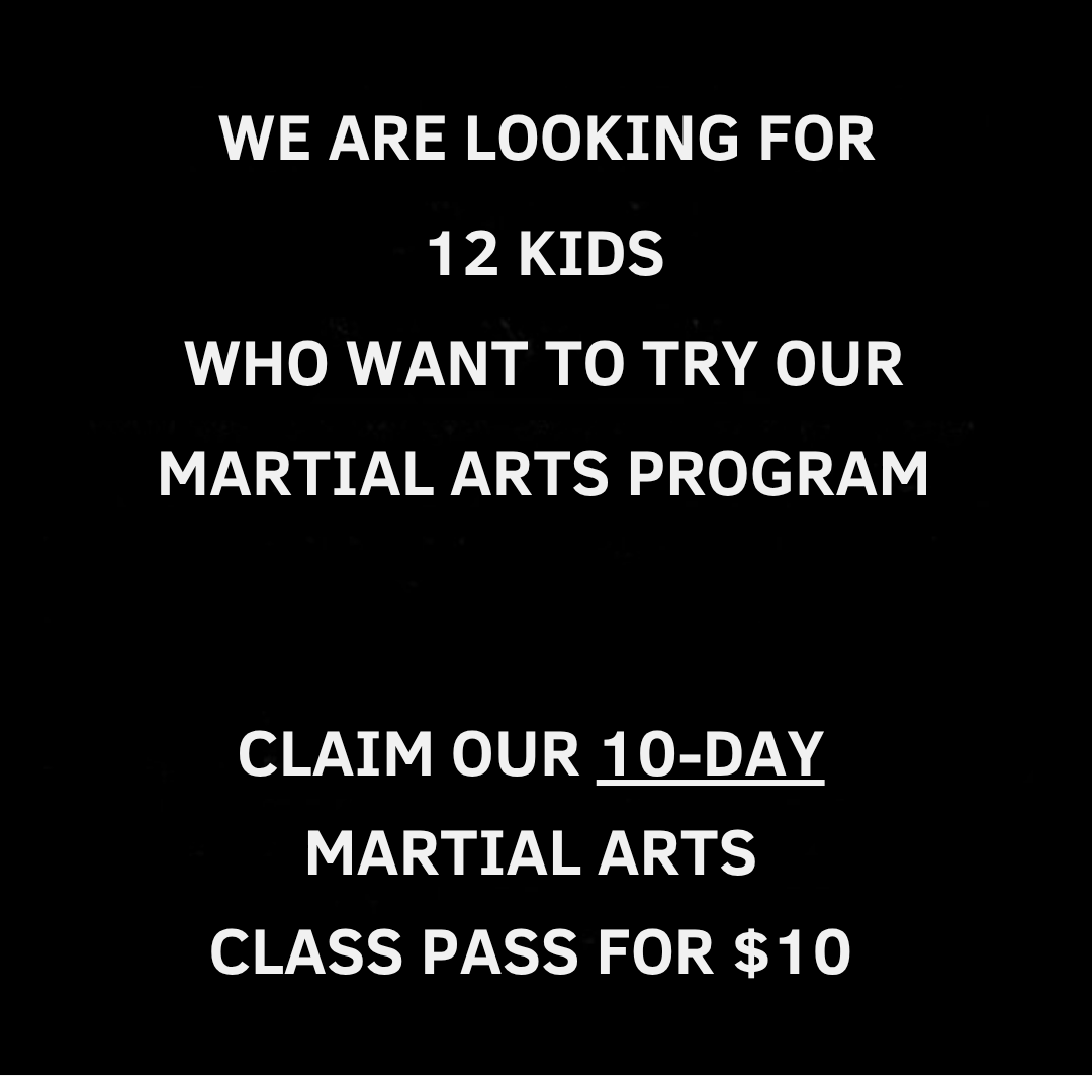 Metro Karate & Jiu Jitsu Academy Facebook ad: Want a 10-Day, Kids Martial Arts Class Pass For $10?