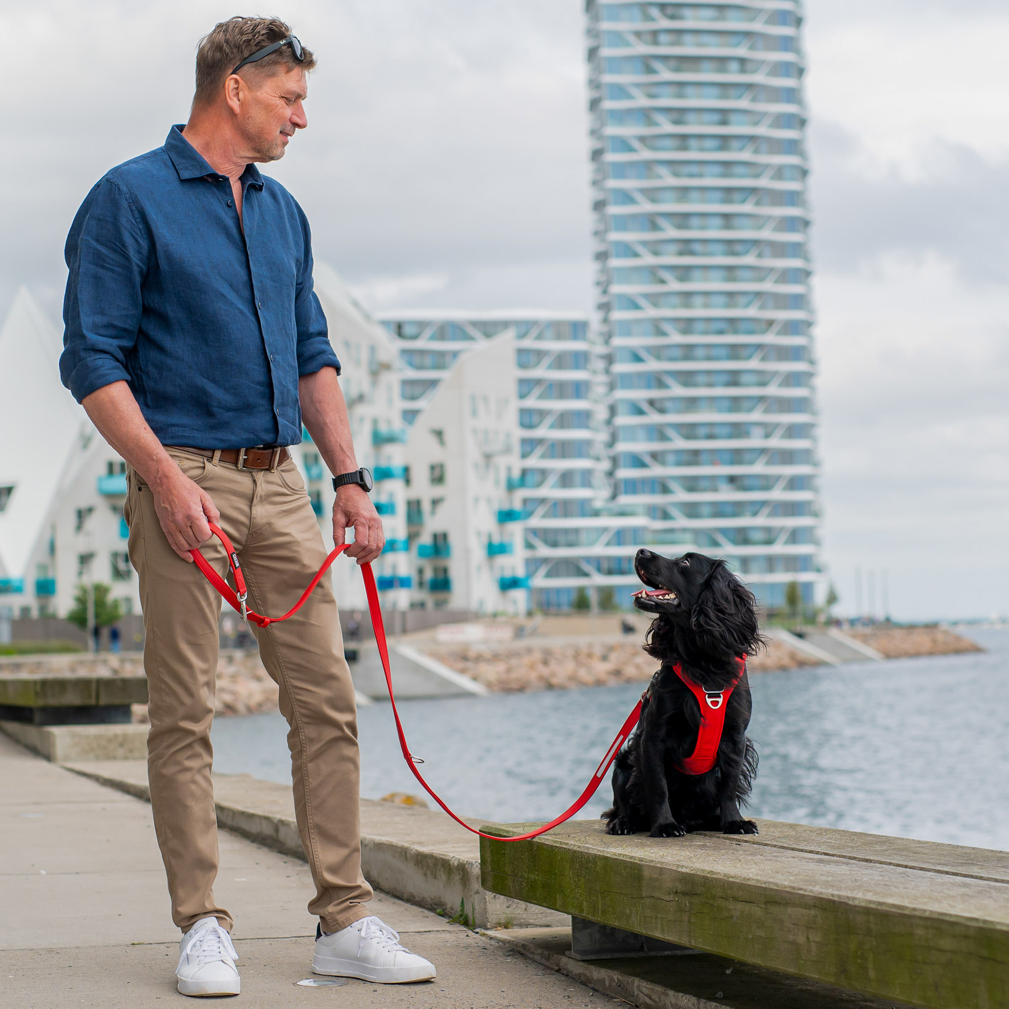 DOG Copenhagen Facebook ad