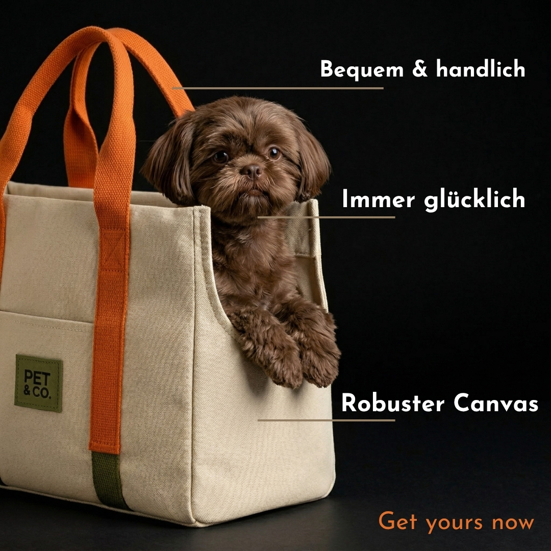 PET & Co. Zürich Facebook ad: love and style