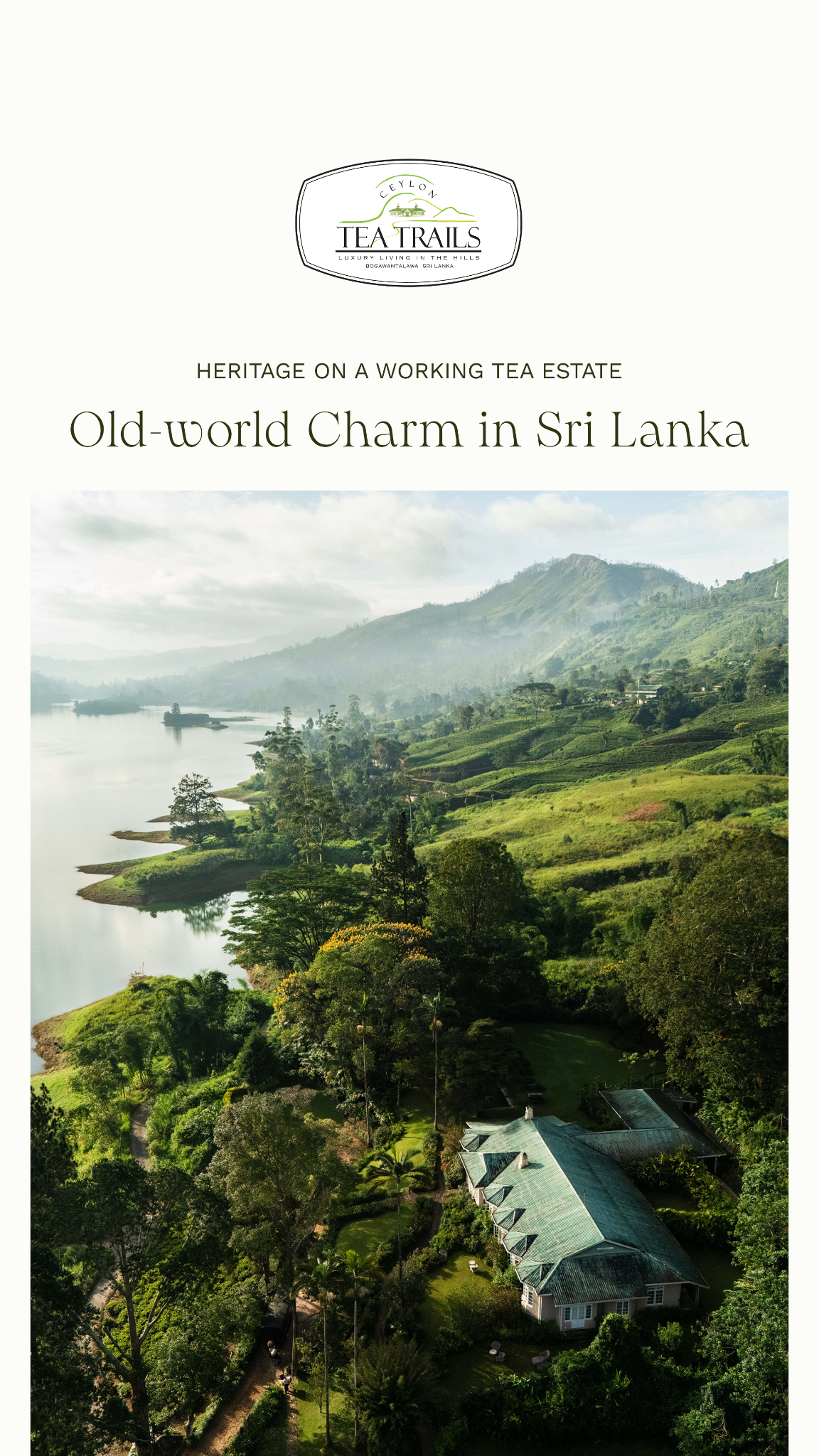 Ceylon Tea Trails Facebook ad