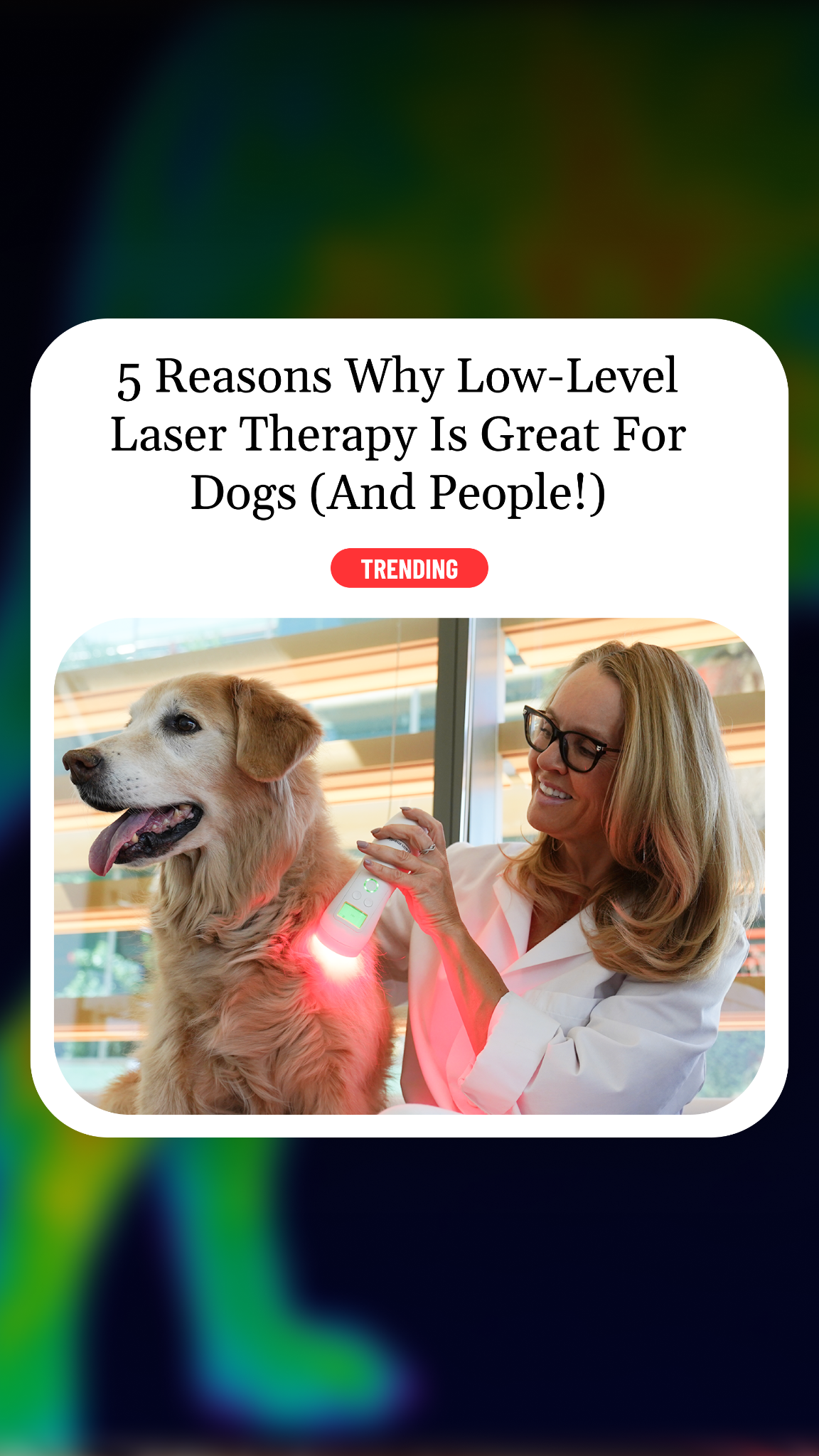 Helio Pet Facebook ad