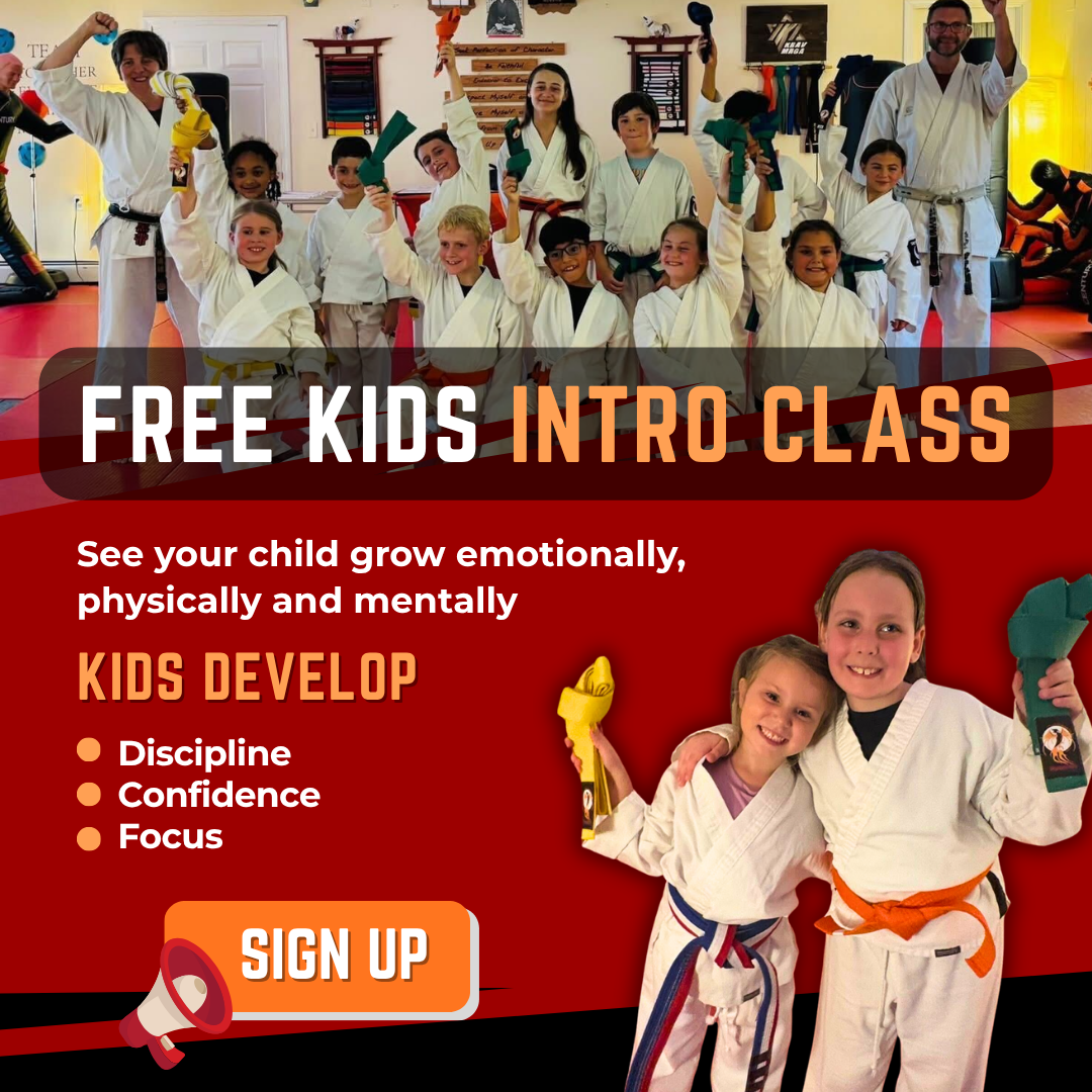 Phoenix Fire Martial Arts Facebook ad