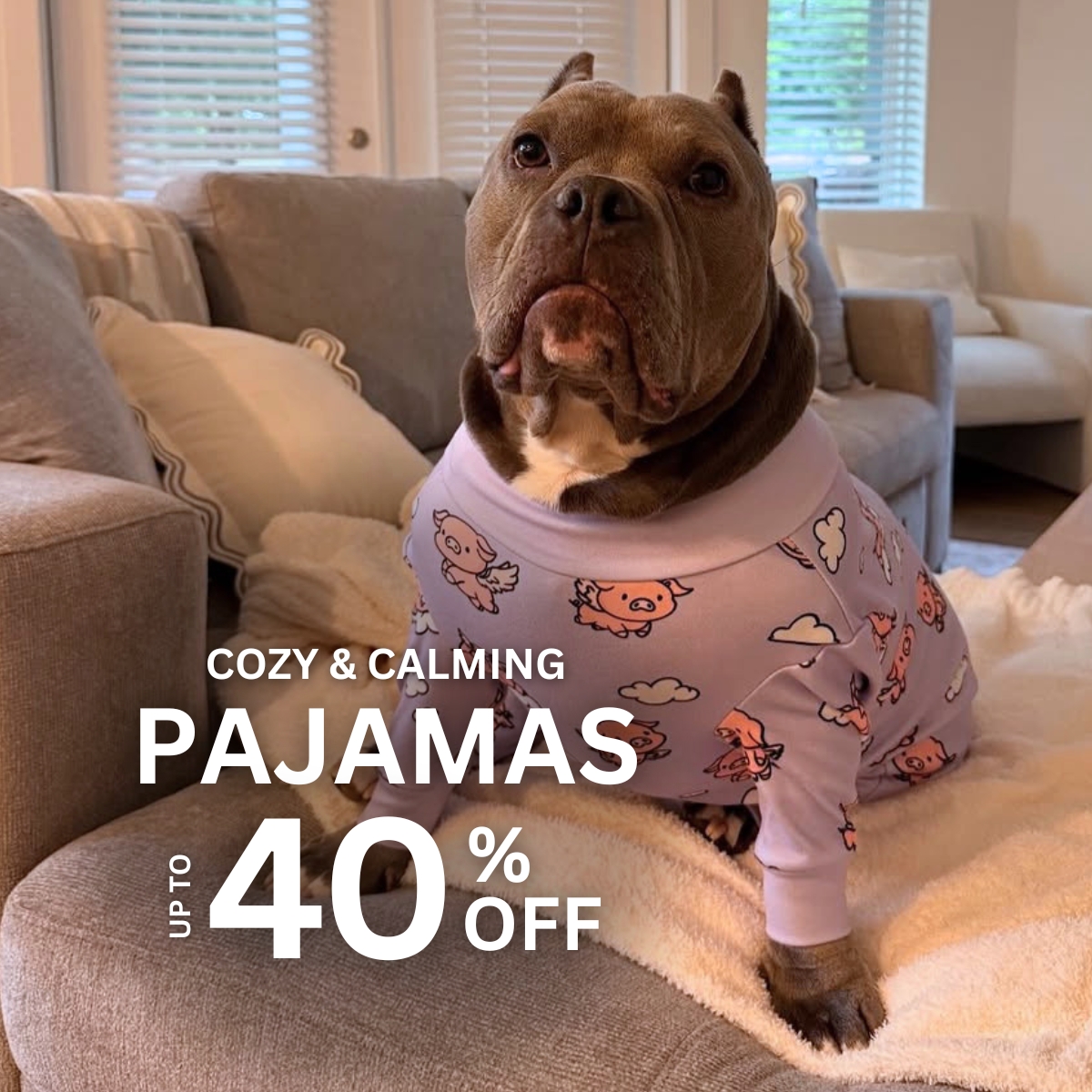 Spark Paws Facebook ad