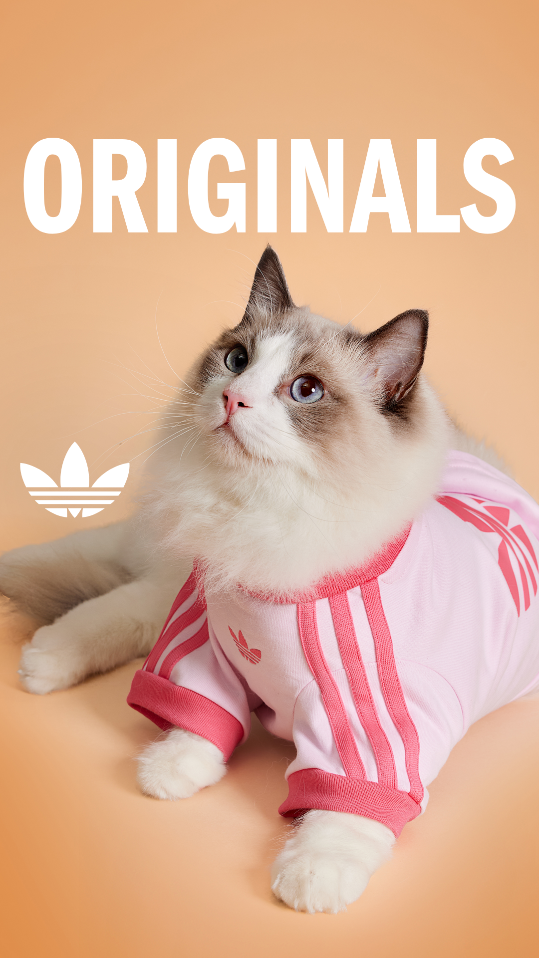 adidas Facebook ad