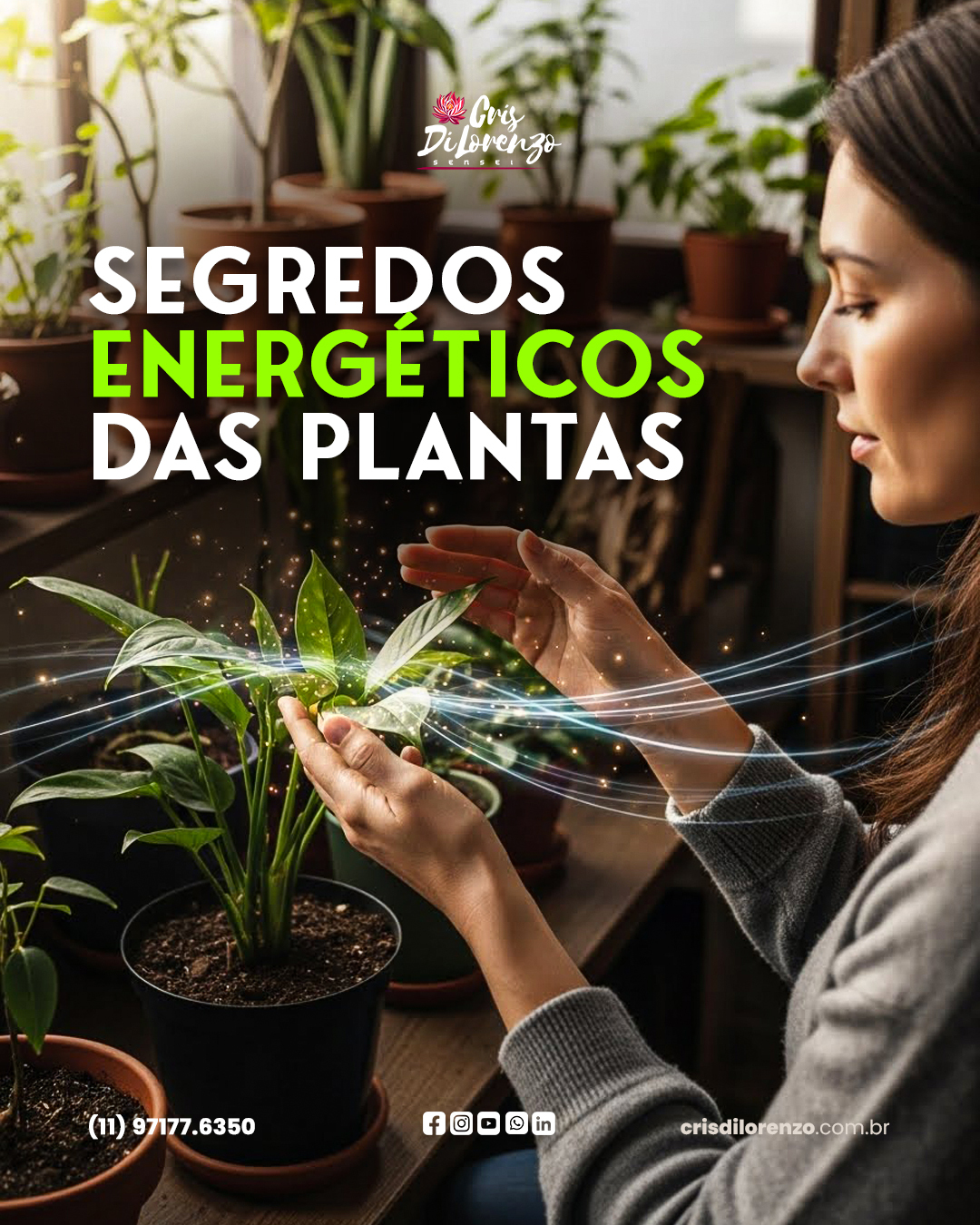 crisdilorenzo Facebook ad: Posso dizer por prática e observação que cuidar…
