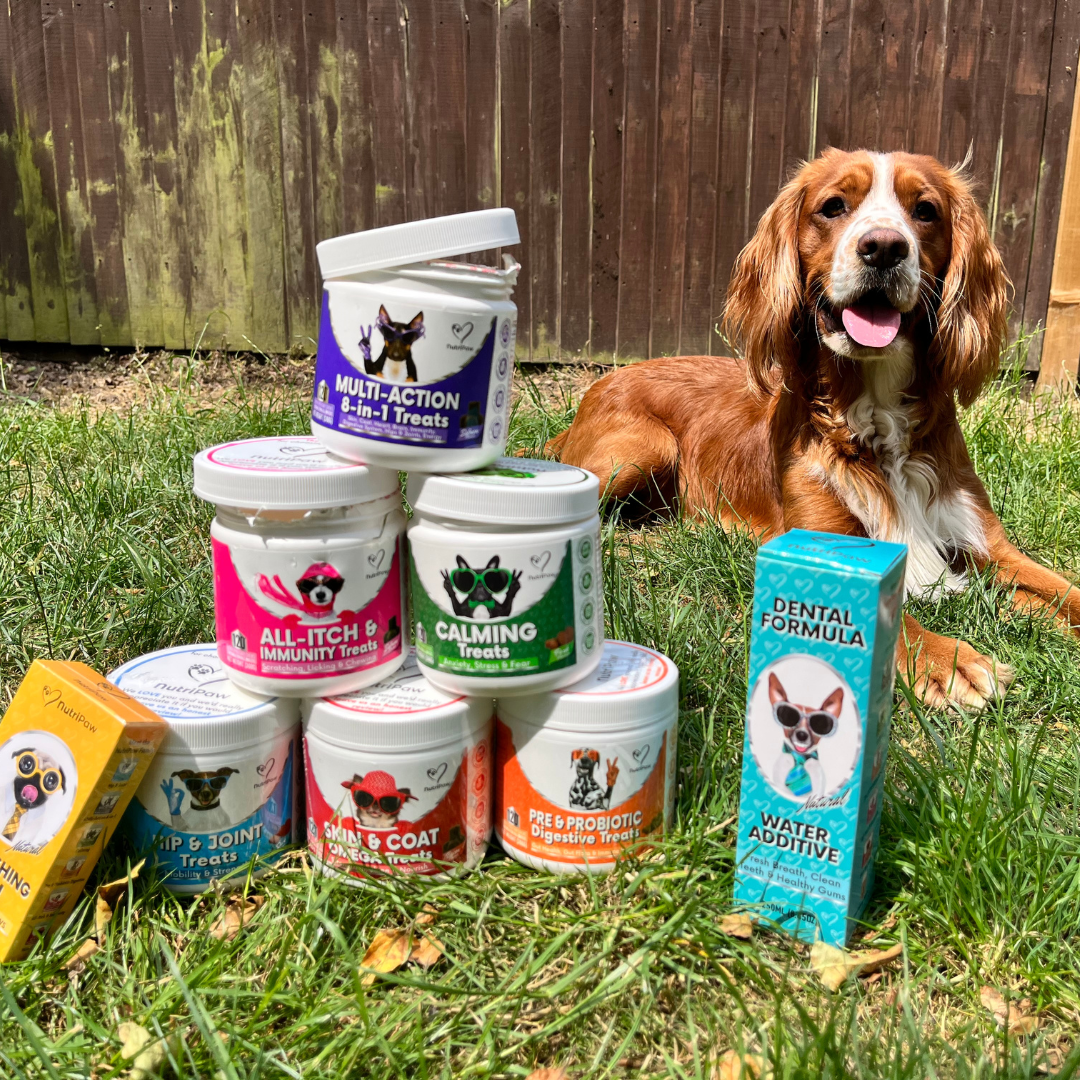 Nutri Paw Facebook ad