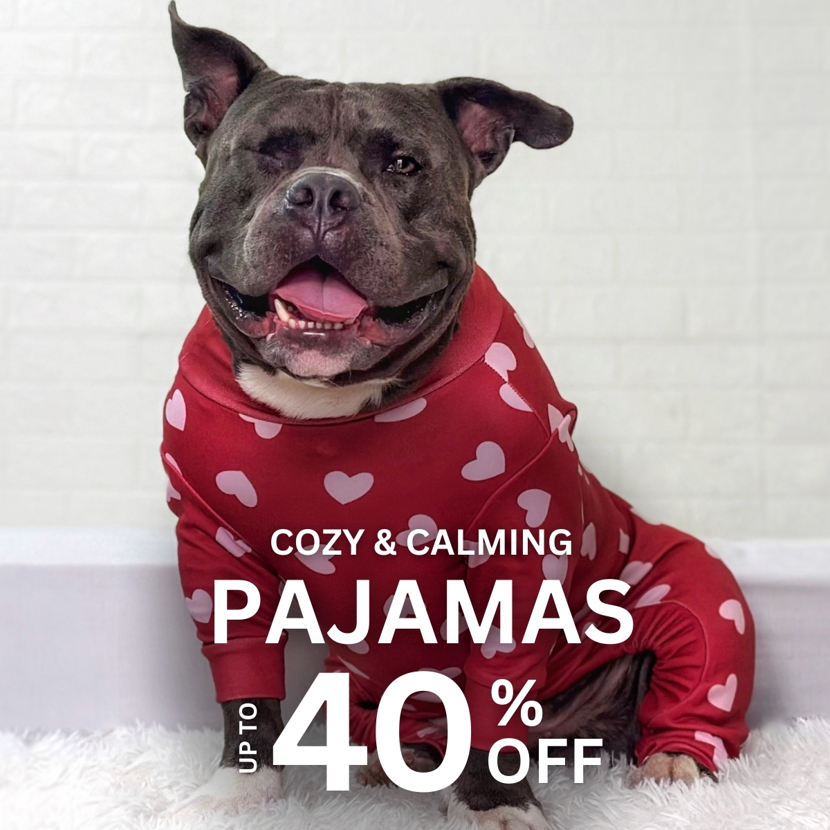 Spark Paws Facebook ad